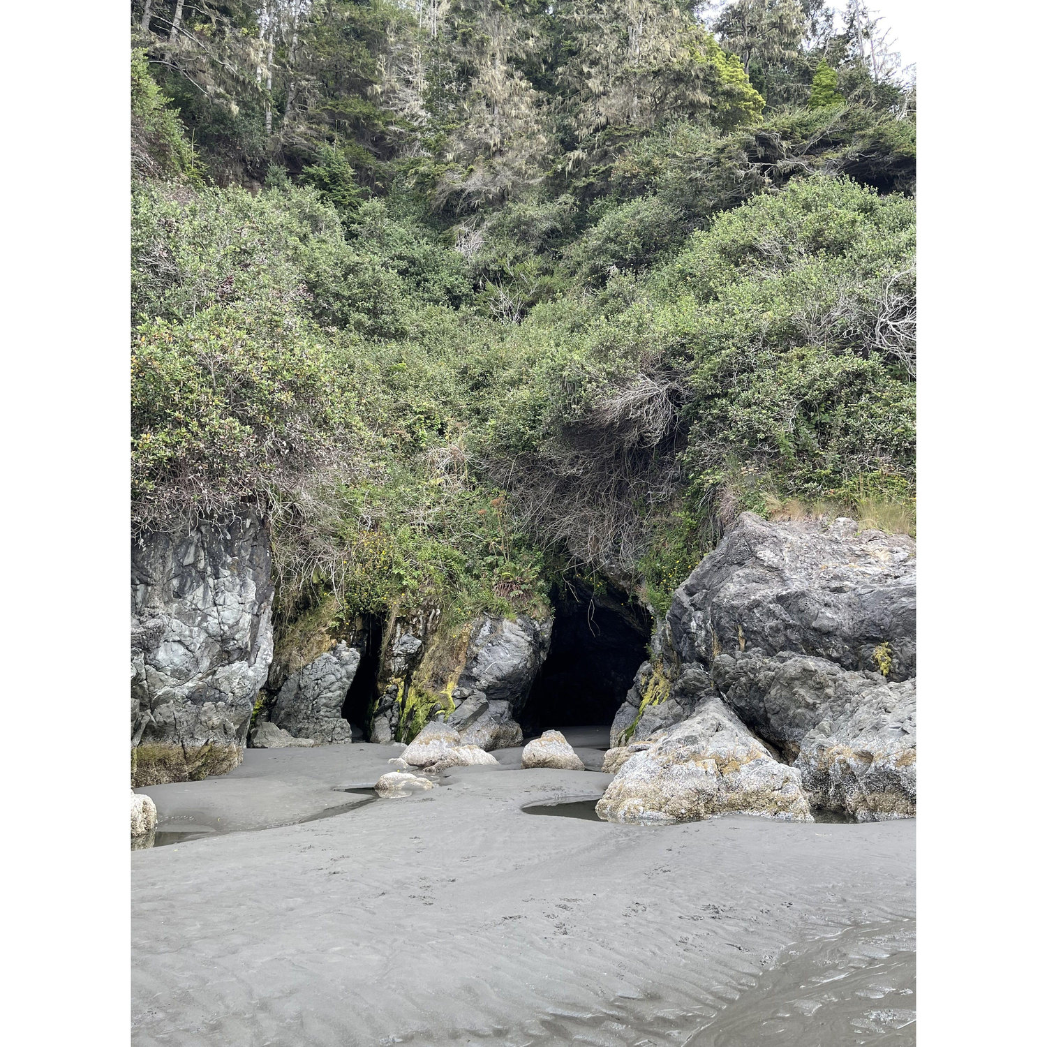 THE CAVE. Yes, Chris proposed in an ocean cliff cave. It was perfect.
