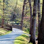 Saunders-Monticello Trail