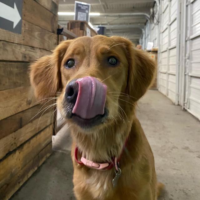 Poppy’s Treat Fund