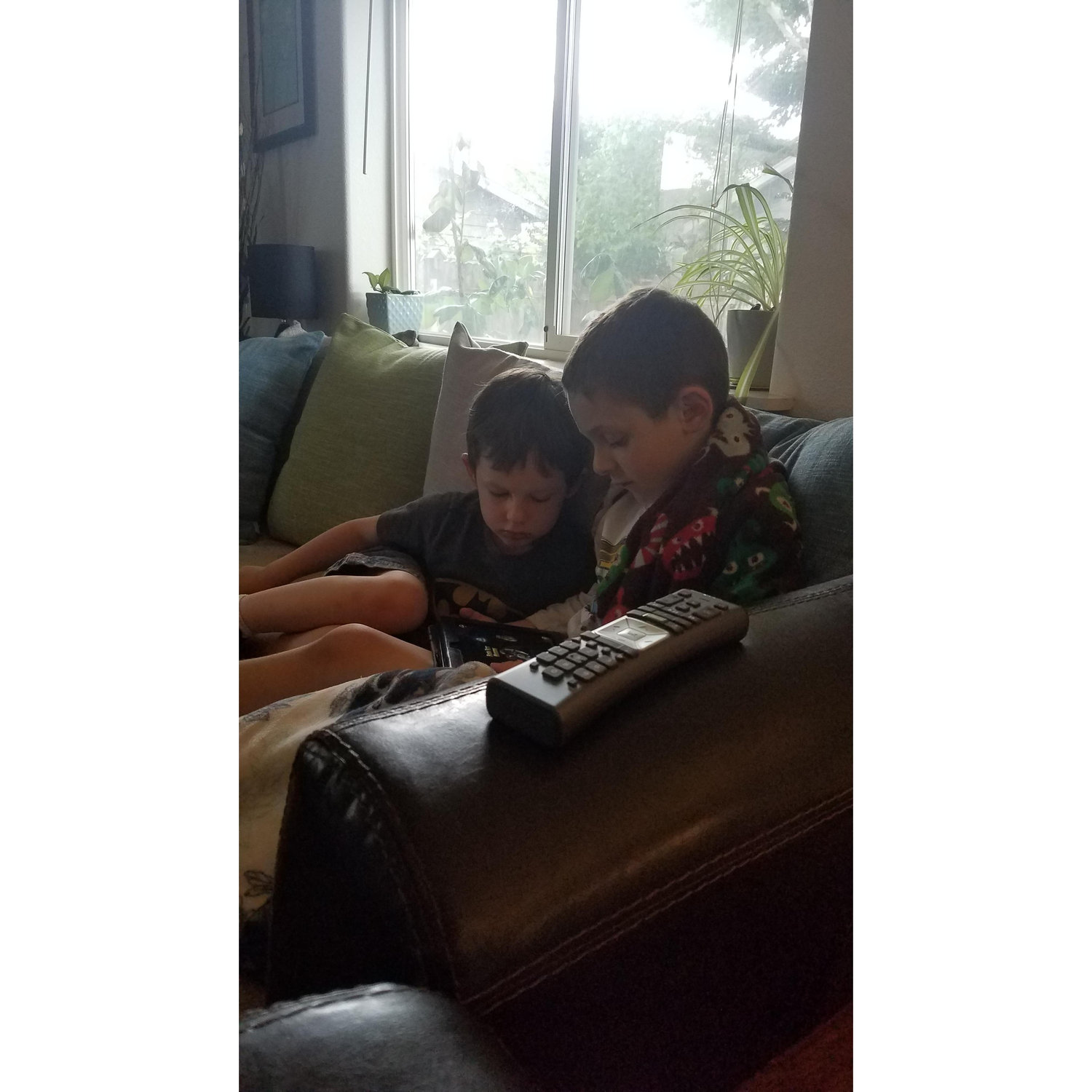 Jax reads Cameron books, and Cameron follows Jax everywhere. They are inseparable when they are together ♥️