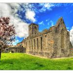 Sligo Abbey