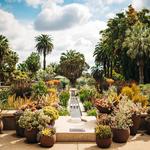 The Huntington Library and Botanical Gardens