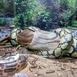 Guindy National Park