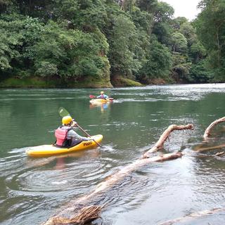 Jungle Kayak Tour for 2 - Costa Rica