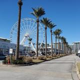 The Wharf