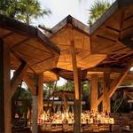 WILD Tulum