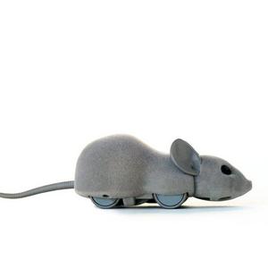 Mouse Hunt Cat Toy