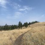 Beattie Street Trailhead for Mount Ascension