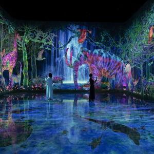 teamLab Planets TOKYO Tickets