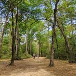 George Mitchell Nature Preserve