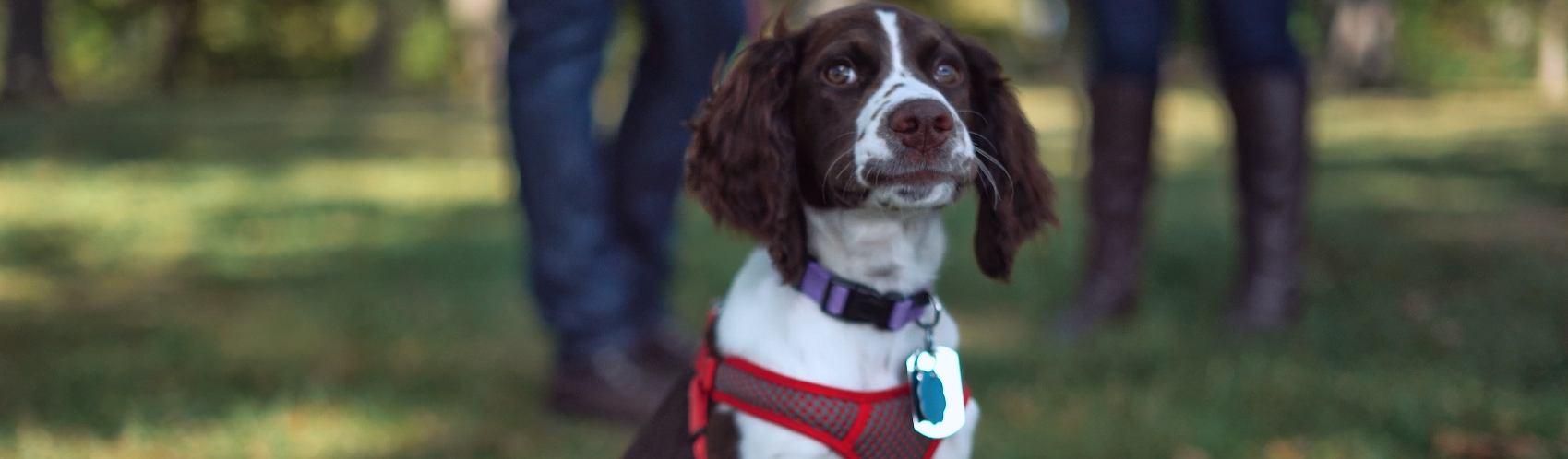 a3b83d8a-65fe-433e-8706-3270cd910cbb