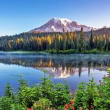 Mount Rainier National Park