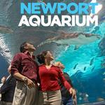 Newport Aquarium