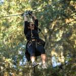 Tree to Tree Adventures