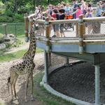 Cleveland Metroparks Zoo