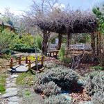 Sego Lily Gardens