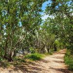 Biscayne Nature Center and Bear Cut Preserve Trail