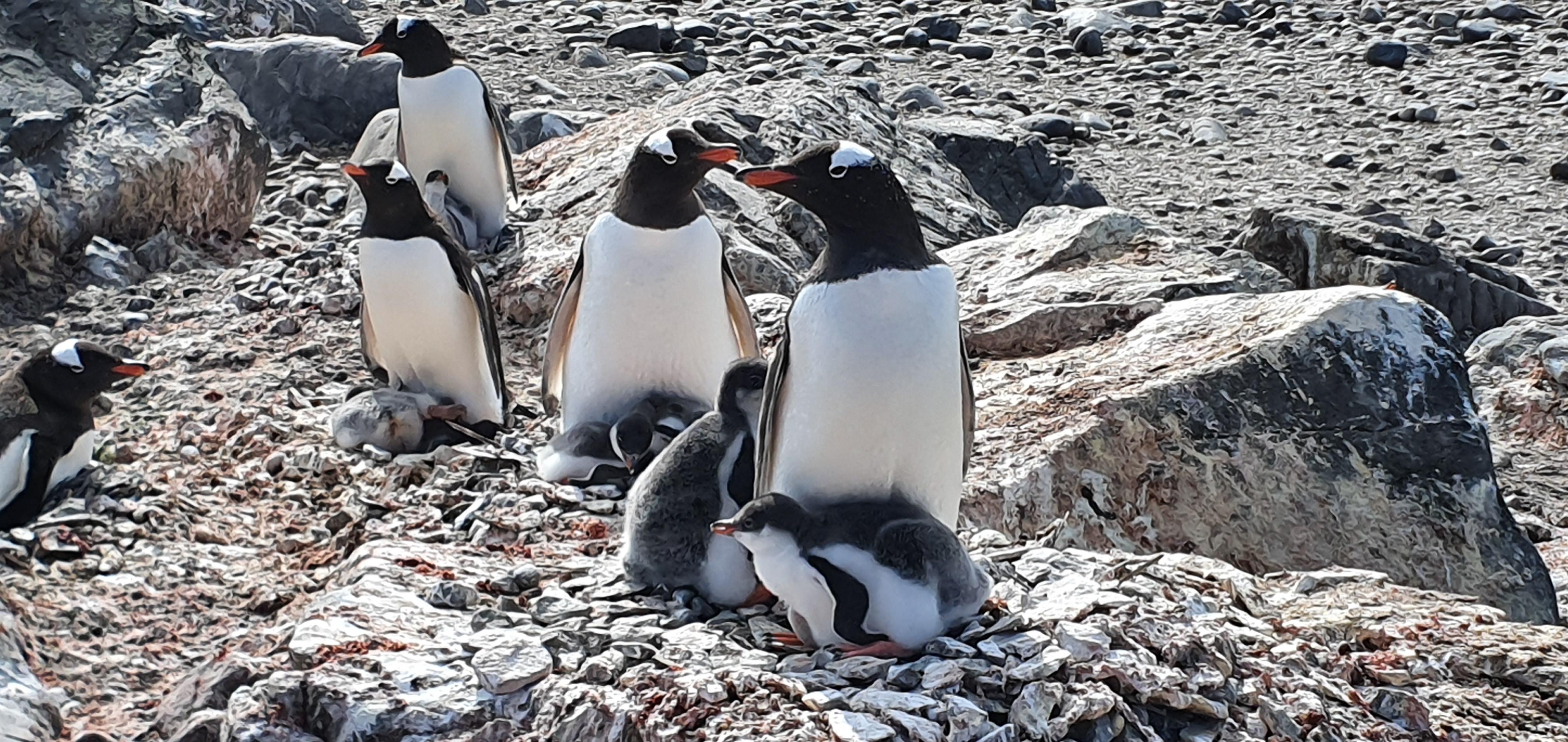 a3c2b0fa-0616-45e0-b7df-3cfc25a538d4