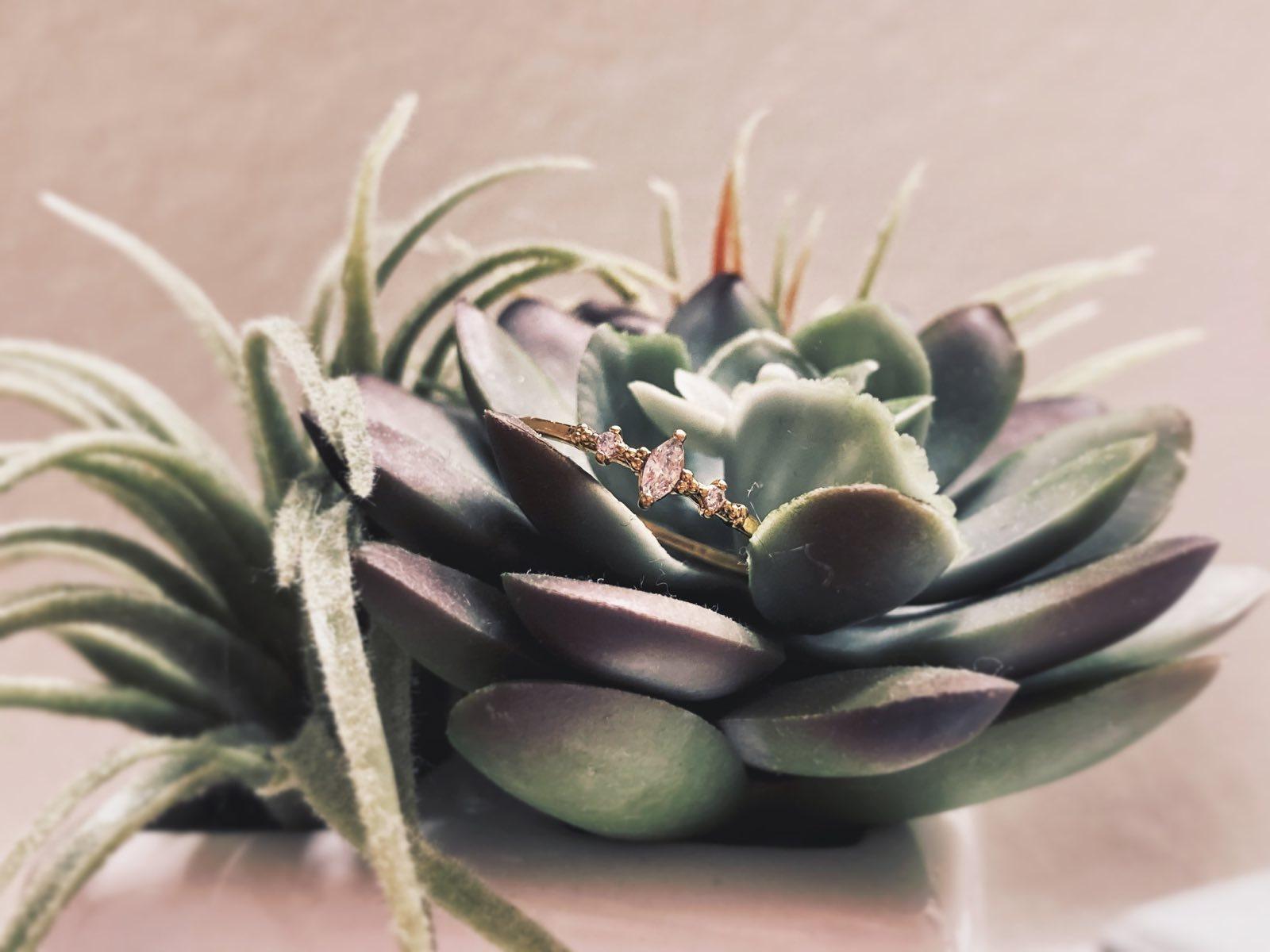 The Wedding Website of Devan Chamberlain and Jeffrey King