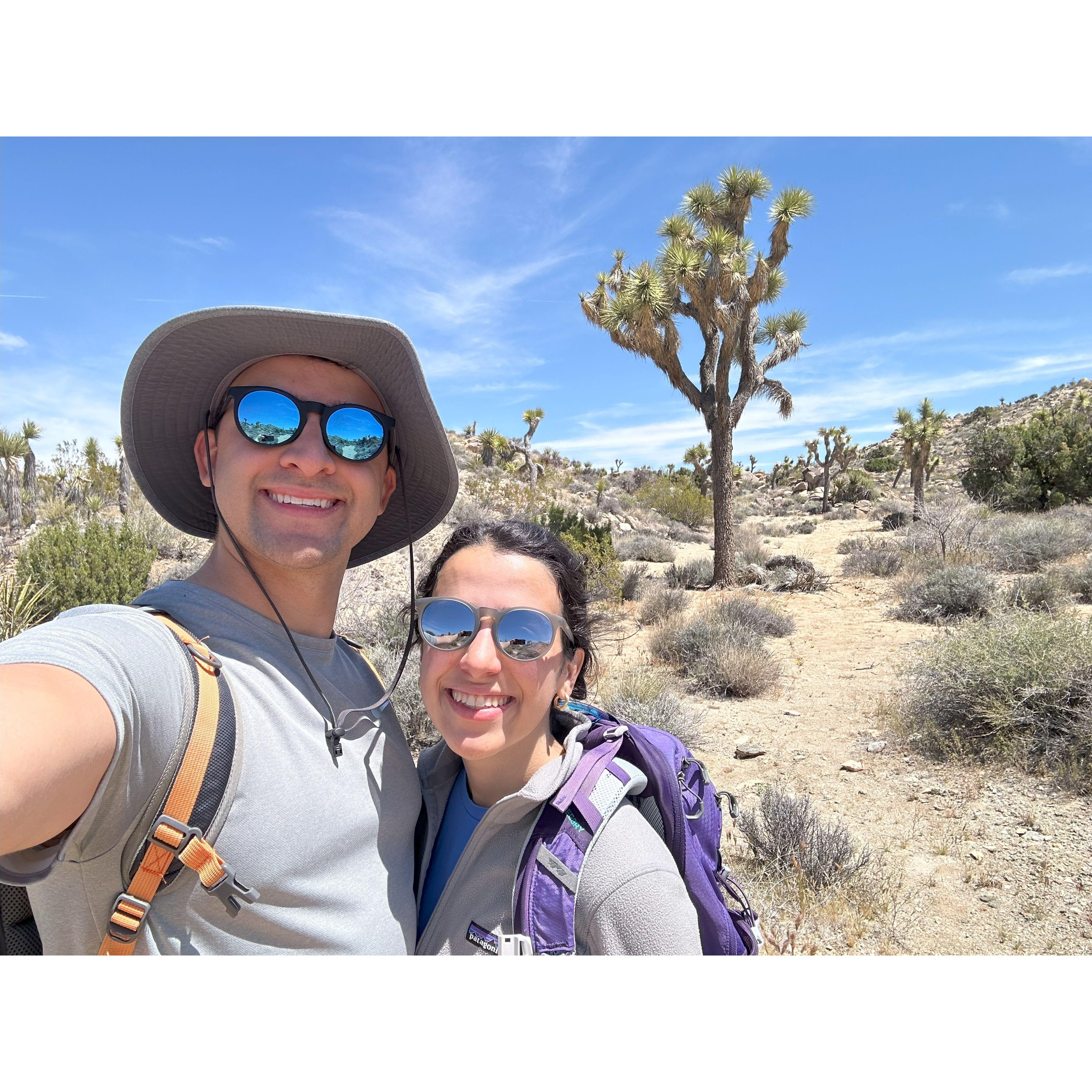 2024 - Joshua Tree, CA