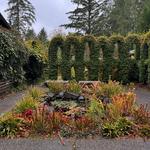 Heronswood Garden