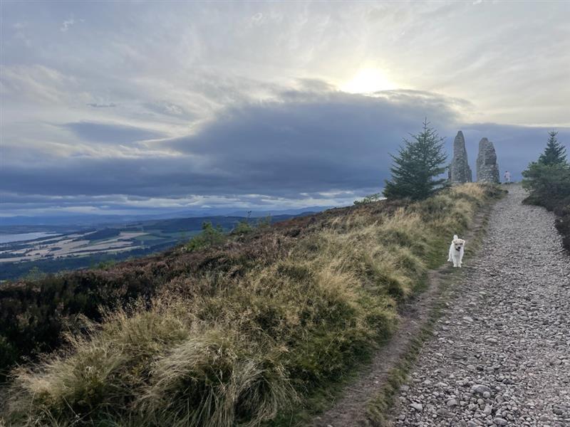The Wedding Website of Aly Chuhay and Georgia Stewart