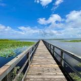 Paynes Prairie Preserve State Park