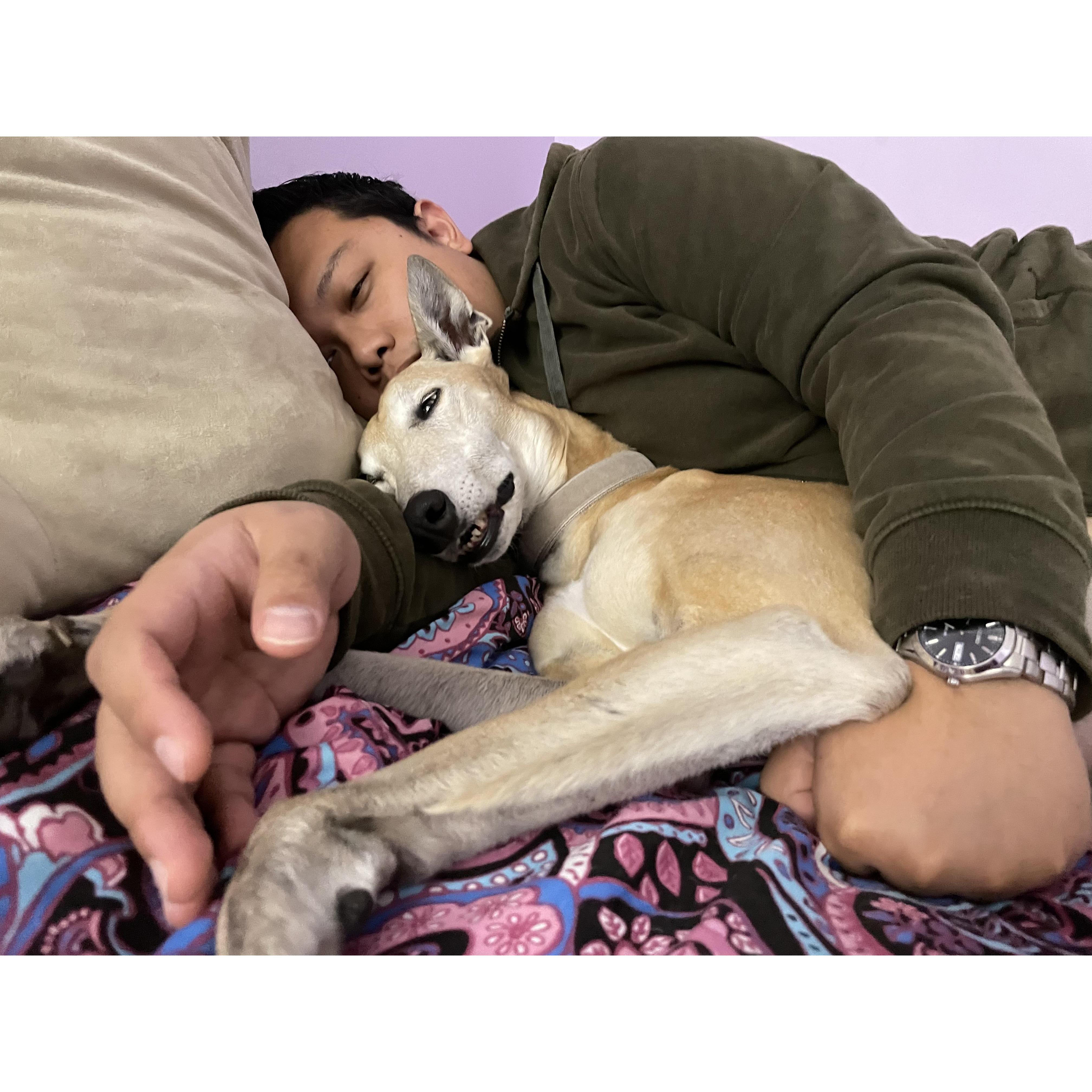 Jan and Winnie doing what they enjoy most: naps