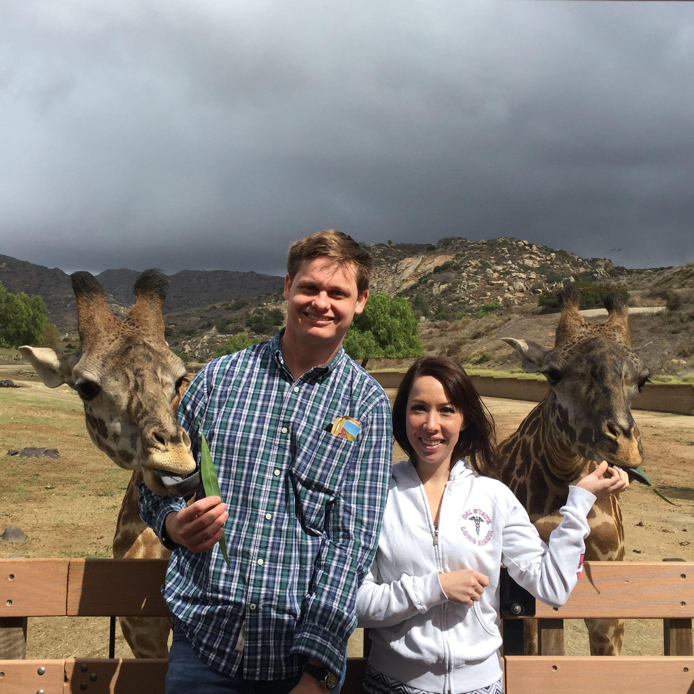 Come feed the giraffes with us!