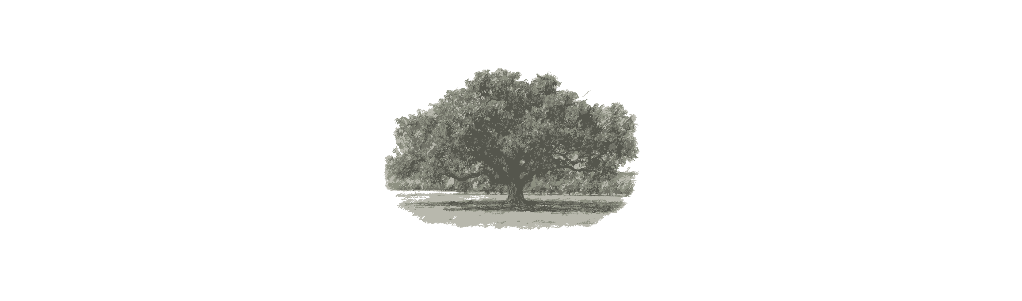 The Wedding Website of Andrea Padilla and Andoni Gonzalez