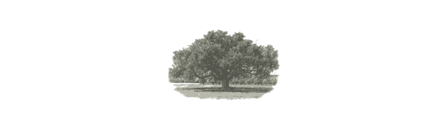 The Wedding Website of Andrea Padilla and Andoni Gonzalez