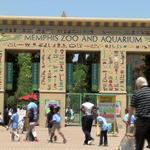 Memphis Zoo