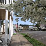 Antiquing in Downtown Aurora