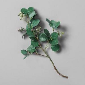 Eucalyptus Pick Stem - Hearth & Hand™ with Magnolia