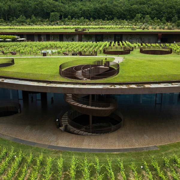 Honeymoon Winery Tour and Wine Tasting at Antinori