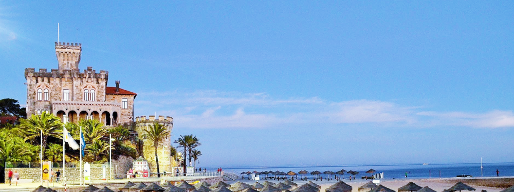 The Wedding Website of Ravi Kodali and Hai Ho