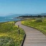 Moonstone Beach Boardwalk