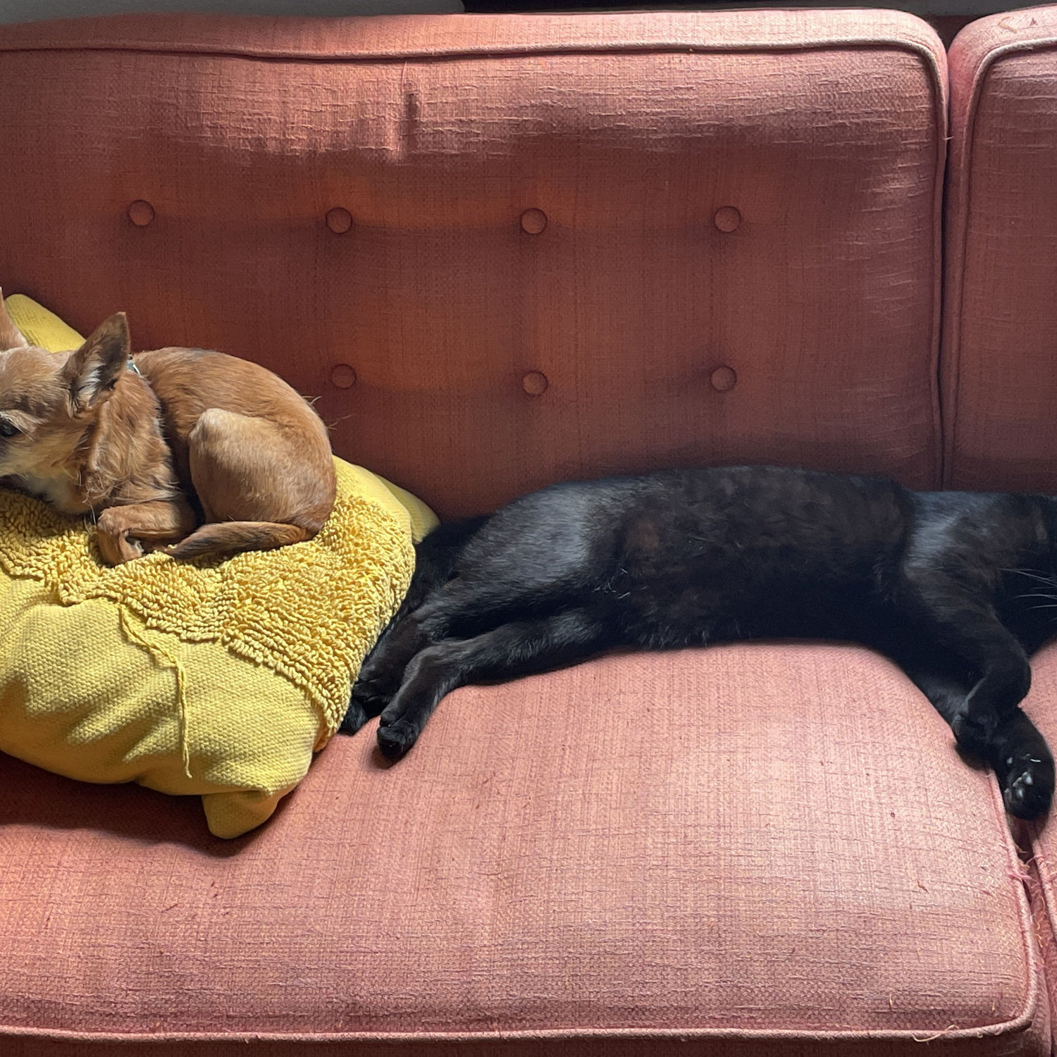 The kids don't always get along, but when they do, it's awful cute