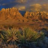 Organ Mountains-Desert Peaks National Monument
