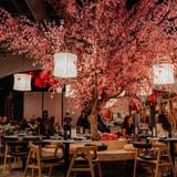 Sakura Yakitori and Sushi