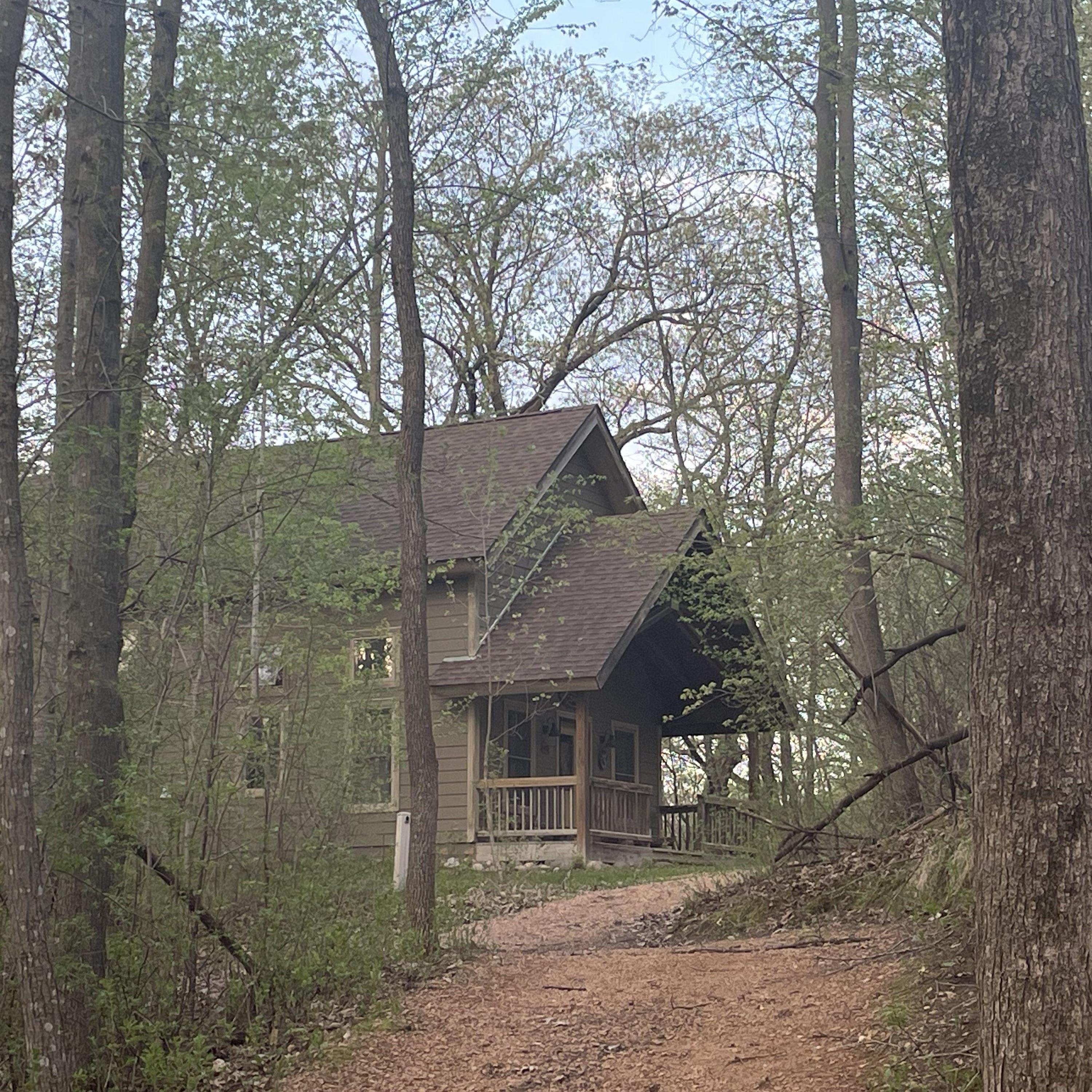 Cabins in the woods on the trails (come cabins accessible by car).