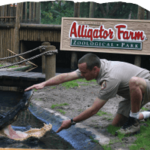 Alligator Farm Zoological Park