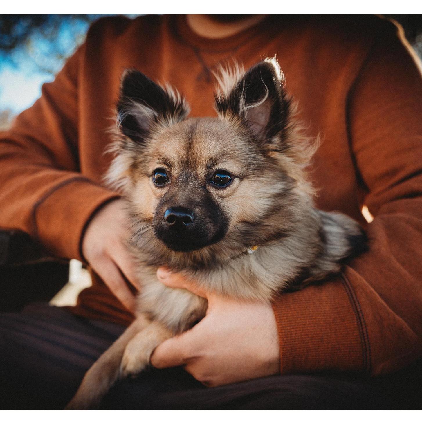 Heckin' majestic