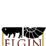 Elgin History Museum
