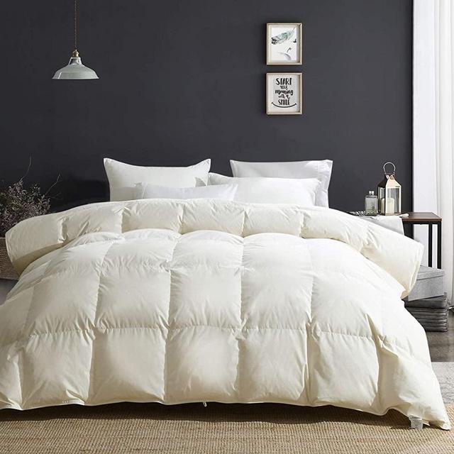 APSMILE Luxury Heavyweight Goose Down Comforter for Winter Colder Climates/Sleeper- 100% Organic Cotton, 650FP Fluffy Thicker Duvet Inserts (Beige White, Queen)