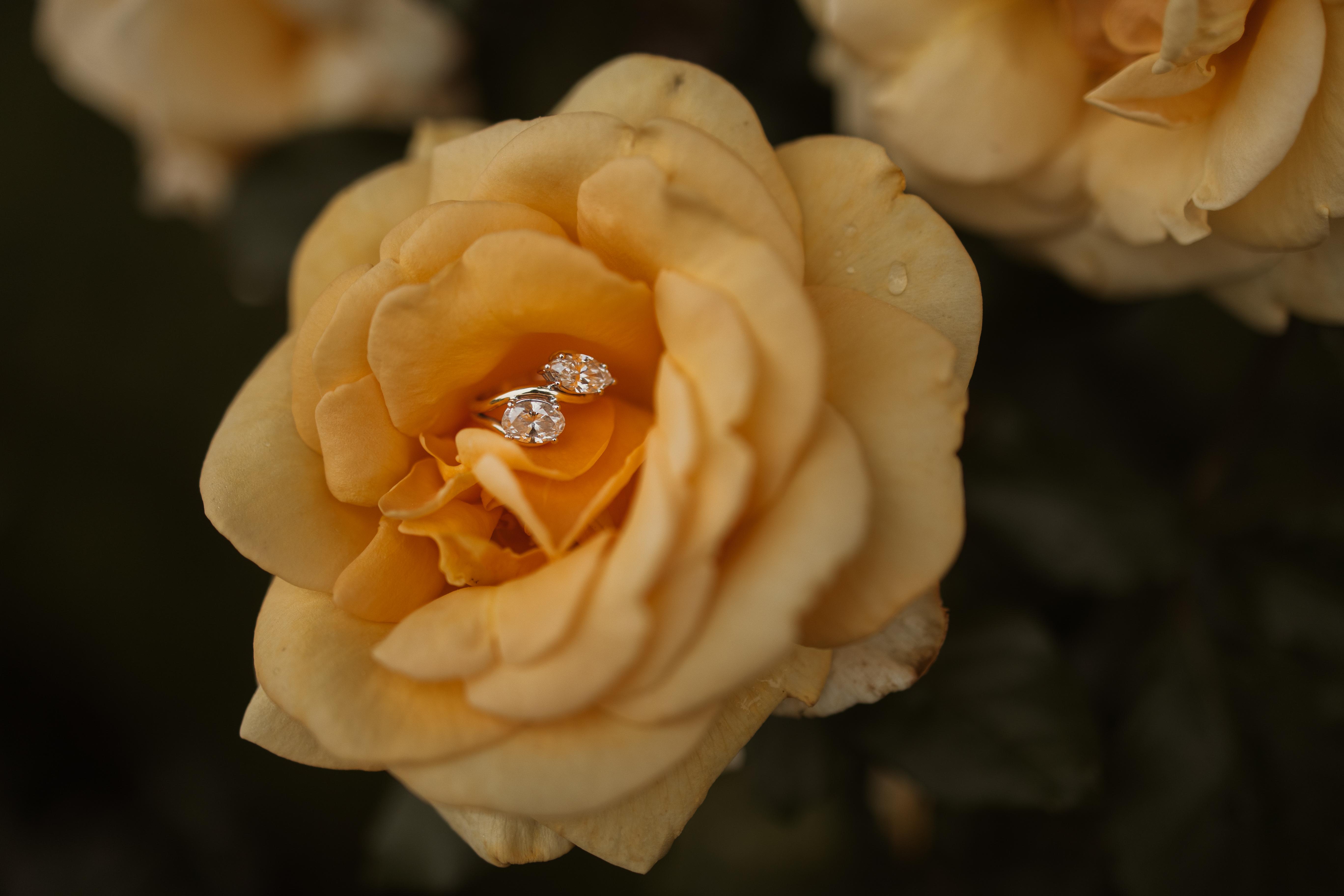 The Wedding Website of Sara Jackson and Ryan Fantaskey