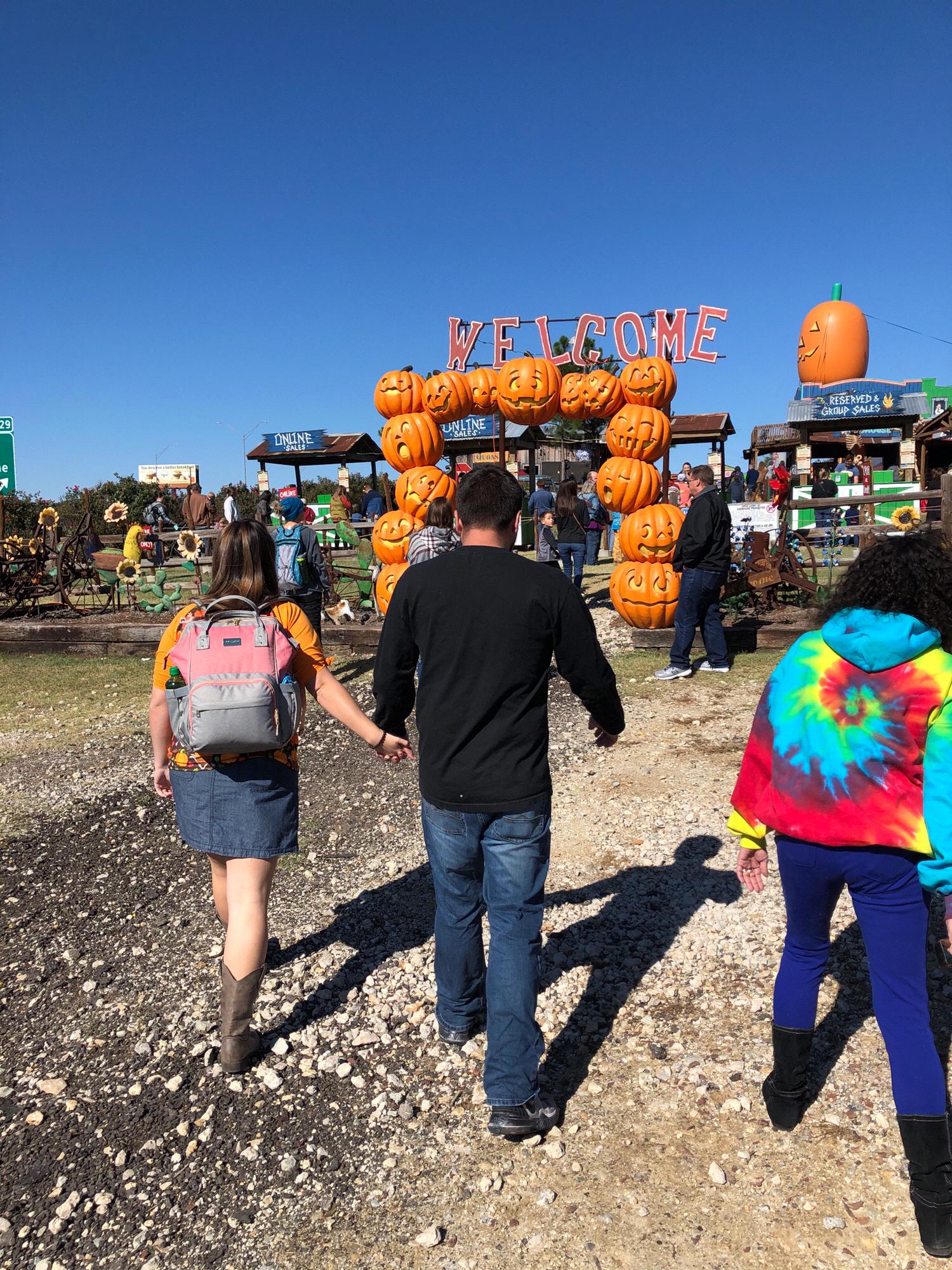 Yesterland Farm in Canton