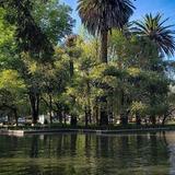 Polanco