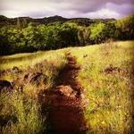 Sonoma Overlook Trail