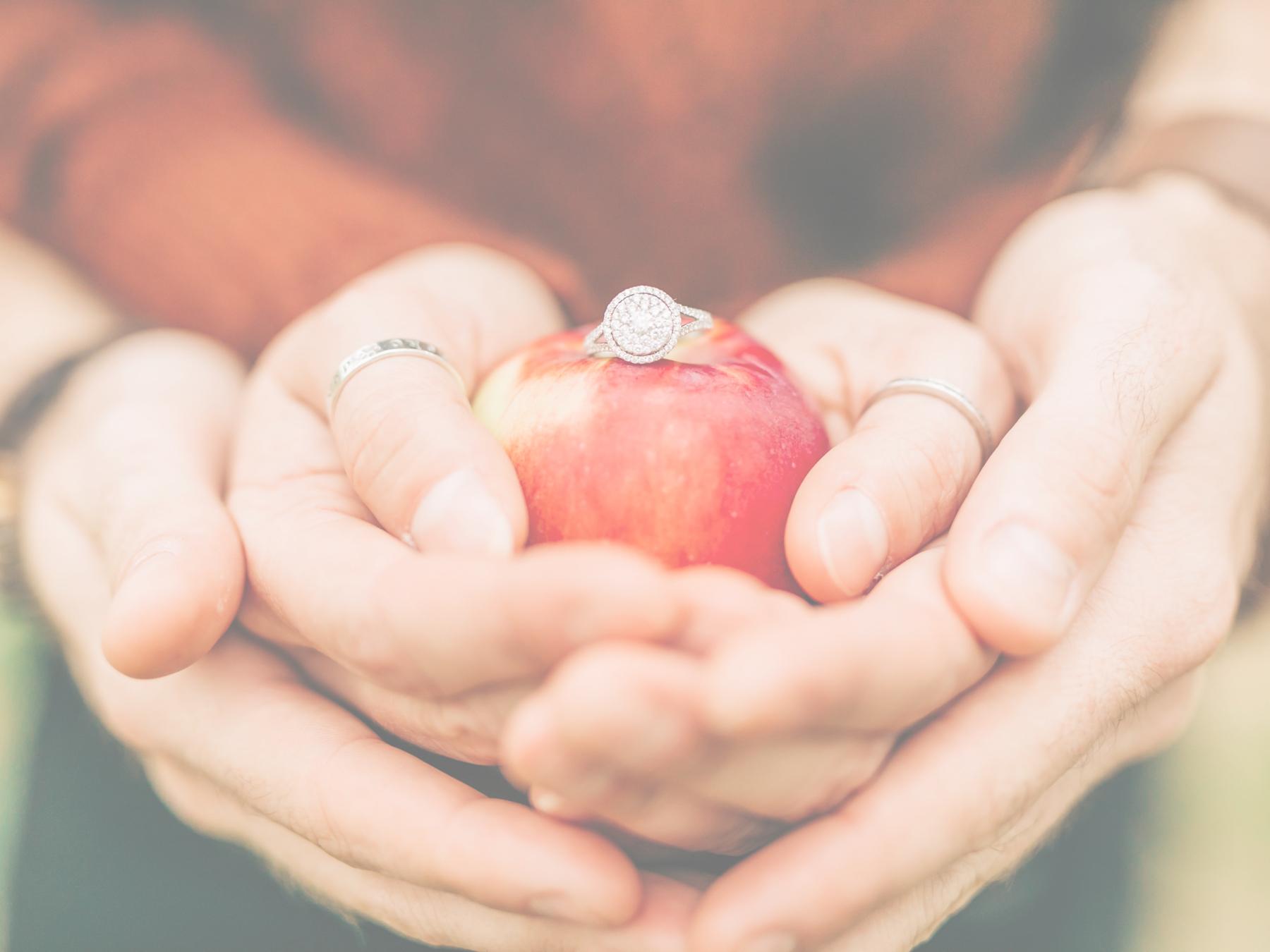 The Wedding Website of Cari Tillson and Raymond Prebble